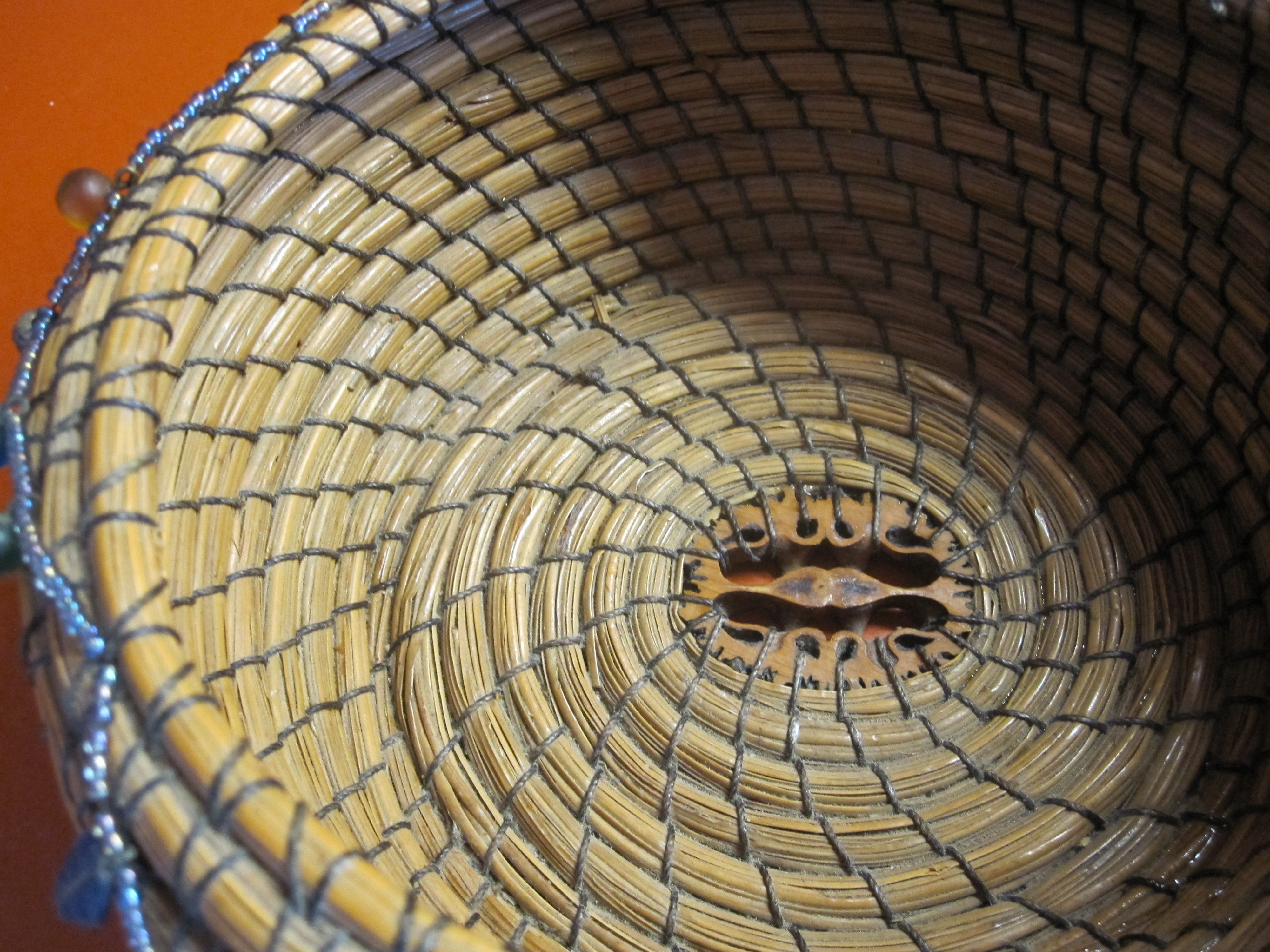 Pine needle walnut close up
